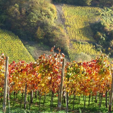 Gaestehaus Ebert Neukirch