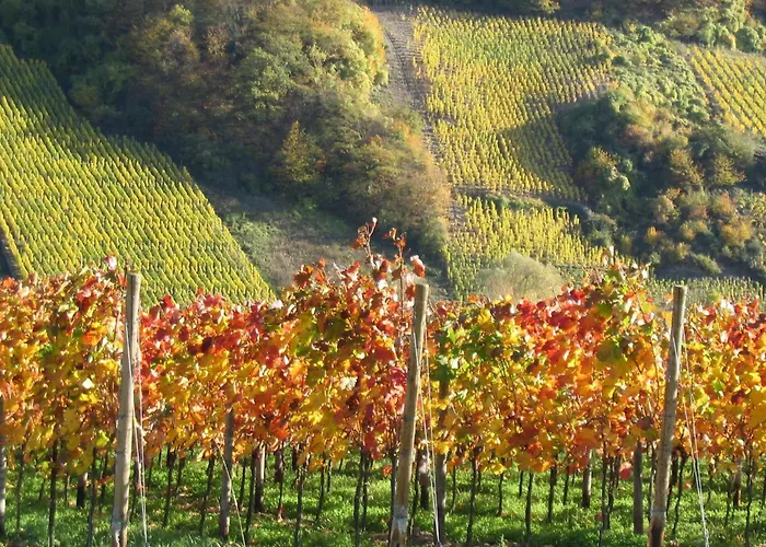 Gaestehaus Ebert Neukirch